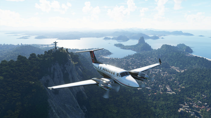 Support for Flight Simulator 2020